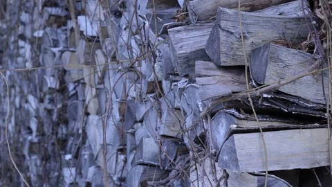 Stock of firewood in winter Stock Footage 71158045