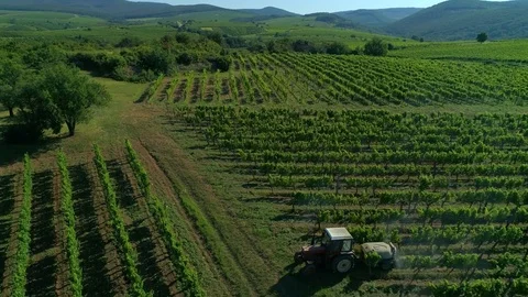 Stock Video stock 78380610