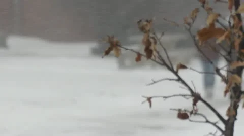 Stock Footage 1080p - young girls walking in Winter Storm Stock Footage