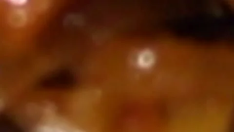 Stock Stock Footage 133102152