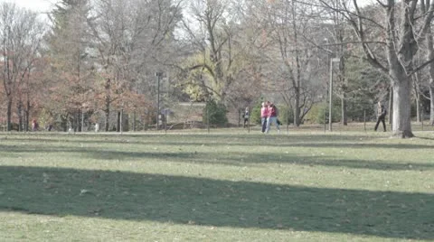 Stock Footage College Students in Fall - walking, leaves blowing, wide shot Stock Footage
