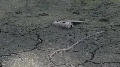 Stock Footage - Drought in Midwest - Dried pond, cracked earth and trash Stock Footage