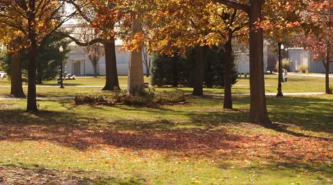 Stock Footage -Fall Trees in Park - Iowa State Fair Stock Footage