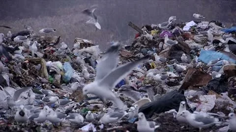 Stock footage huge garbage dump ecological disaster Stock Footage