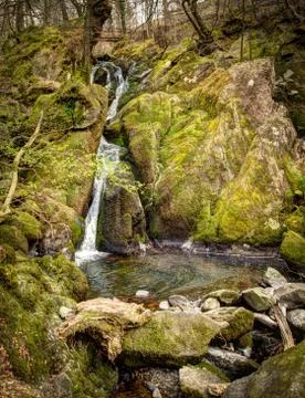 Stock ghyll force water fall Stock Photos