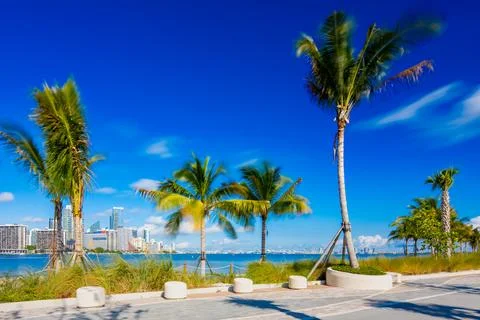 Stock image Key Biscayne Bridge Beach Miami 2025. Long exposure palms swayi.. Stock Photos