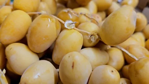 Stock Photo Description A close up shot of a bountiful pile of fresh, golden. Video stock 311767341