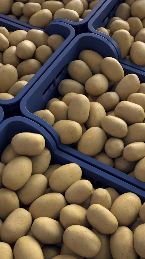 Stock of potatoes. Several boxes stacked in a warehouse. Vídeos de archivo 336329024