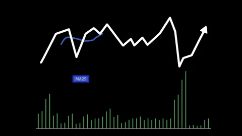 Stock Price Chart with Technical Indicators Stock Footage 332458625