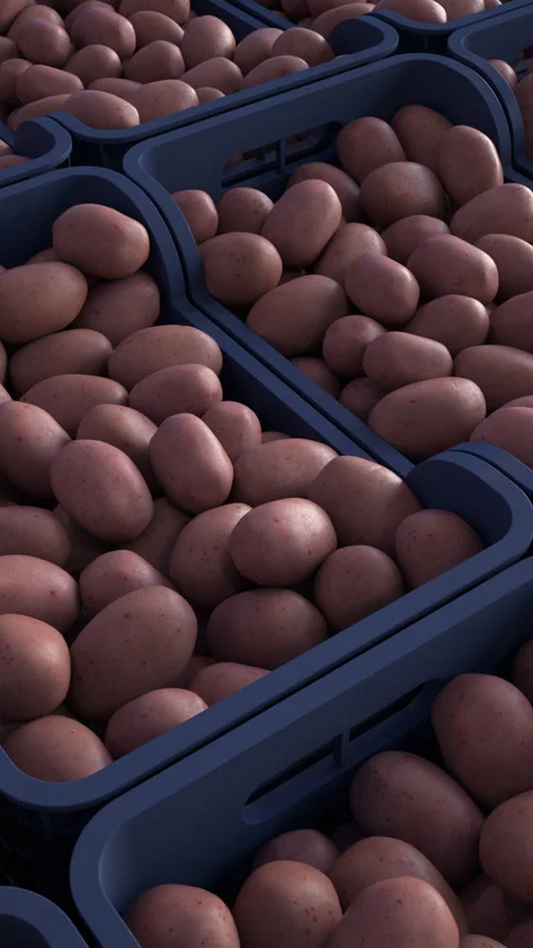 Stock of red potatoes. Several boxes stacked in a warehouse. Vertical view. Vídeos de archivo 336326235