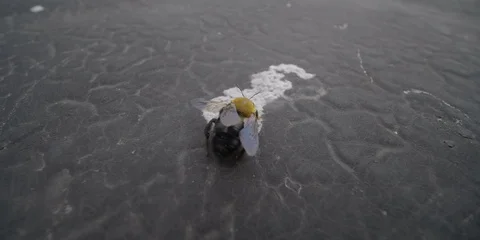 Stock rooftop Stock Footage 111557518