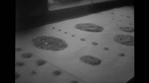 Stock Scenes Of Factory Labor (1949) Stock Footage