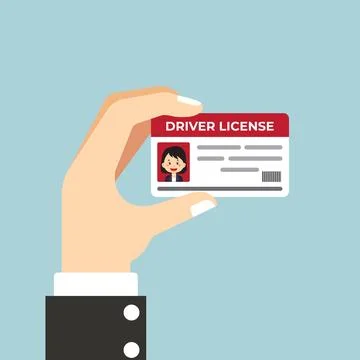 Stock Vector Hand Hold Driver License Stock Illustration