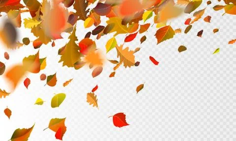 Stock vector illustration autumn falling leaves on transparent checkered Stock Illustration