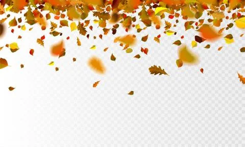 Stock vector illustration autumn falling leaves on transparent checkered Stock Illustration