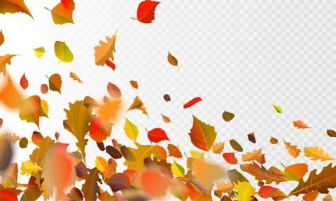Stock vector illustration autumn falling leaves on transparent checkered Stock Illustration