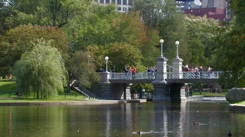 Stock Video of Boston: Public Garden Stock Footage