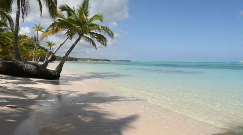 Stock Video of Dominican Republic: White sandy Beach Stock Footage