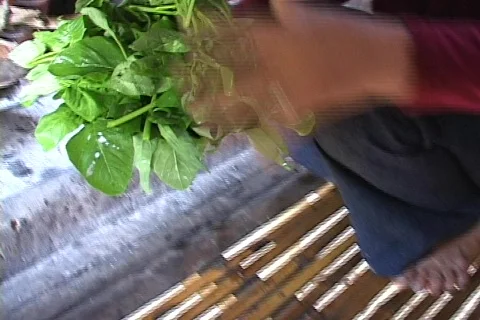 Stock Video Footage of Cambodia: Cooking over a wood fire Stock Footage