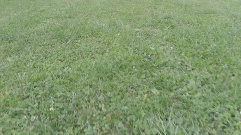 Stock video footage flight through landscape Stock Footage 40329845
