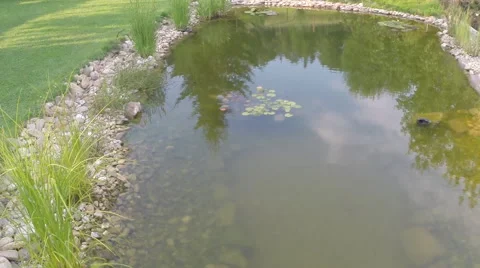 Stock video footage flight through lagoon Stock Footage 40330284