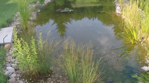 Stock video footage flight through lagoon Stock Footage 40330360