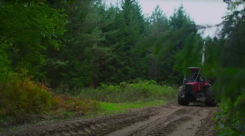 Stock Video Footage  tractor driven forest along a forest road 4K Stock Footage 34284635
