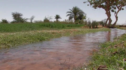 Sudan:Irrigation Program in a Desert of Sudan Stock Footage 718634