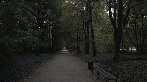 Stock walk Stock Footage 99371260