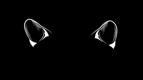 Stock1 Stock Footage 120018941