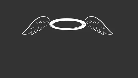 Stock2 Stock Footage 120018950