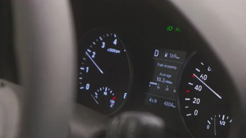 Stock4k02398063 库存影片 166162810