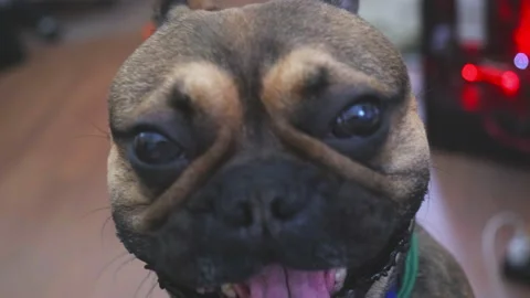 Stock4k02402280 Vídeos de archivo 166162848