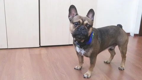 Stock4k02404475 Stock Footage 166162911