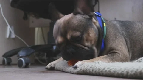 Stock4k02407169 Vídeos de archivo 166163097