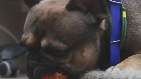 Stock4k02407698 Stock Footage 166163085