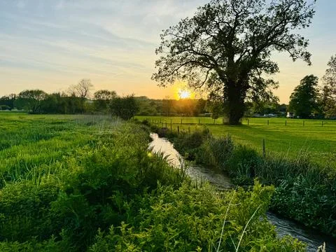Stockbridge Marsh Stock Photos