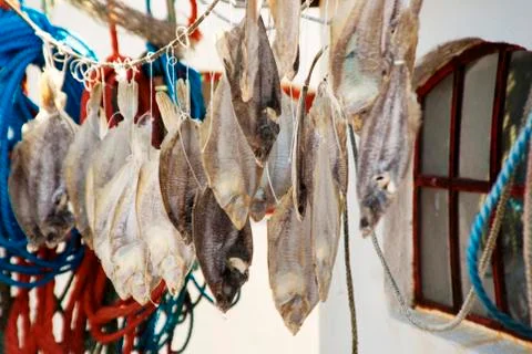 Stockfish Stock Photos