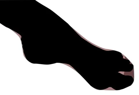 Stocking Clad Ankle Stock Illustration