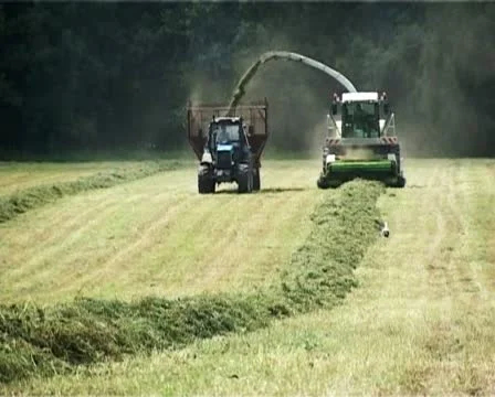 Stocking hay - PAL Stock Footage 15965510