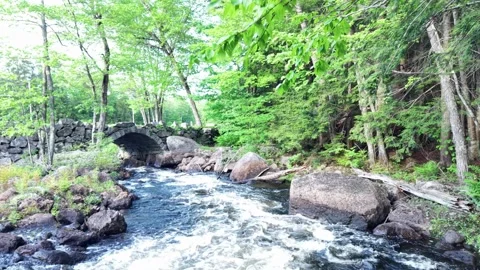 Stoddard, NH down the stream 5-27-26 Stock Footage 337203742