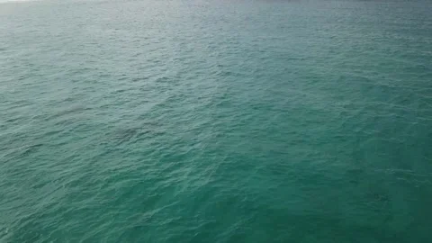 Stokes Island Circular Stock Footage 135625831