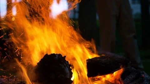 Stoking a Campfire at Dusk in Woods Stock Footage 85183229