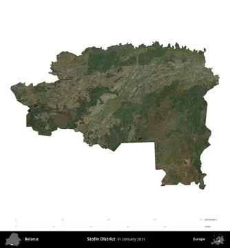Stolin District, Belarus, isolated on white. Sentinel - World Cover Mosaic. Stock Illustration