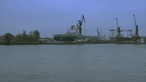 Stolte Kite passing Stock-Footage 47111789