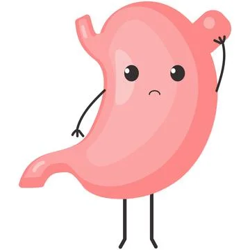 Stomach ache vector, increased acidity reflux pain Stock Illustration