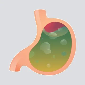 Stomach acid Stock Illustration