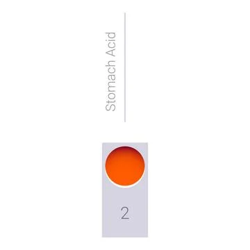 Stomach acid level measuring scale showing high acidity Stock Illustration