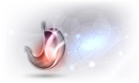 Stomach anatomy design Stock Illustration