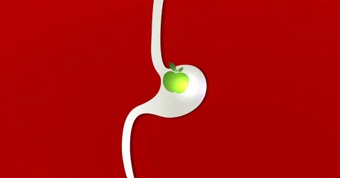 Stomach and apple inside, bright red background, beautiful simple animation Stock Footage 71348062